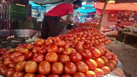 Tomato Prices Decline To Rs 20/Kg In Karnataka Amid Improved Supply 