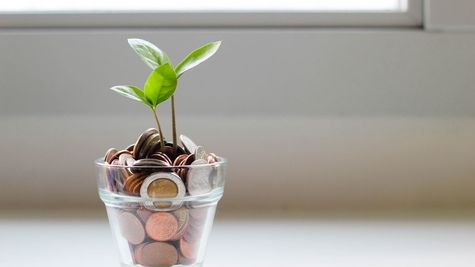Withdraw Your PF Before Retirement: A Step-By-Step Guide!