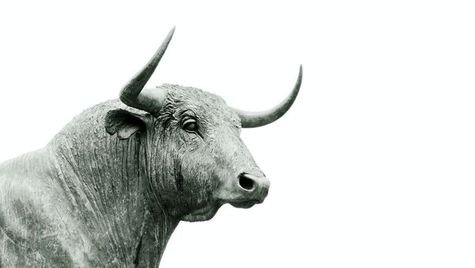 Start your stock market journey NOW for financial growth!