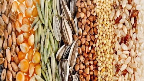 Major States Face Rainfall Deficiency; How Will Scarce Monsoon Impact Rice, Oilseeds, Pulses, Sugars? 