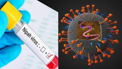 Terrifying Nipah Virus: The Silent Monster in Our Midst!