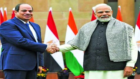 India, Egypt Discuss Wheat-For-Fertilisers Deal, To Ramp Up Bilateral Trade 