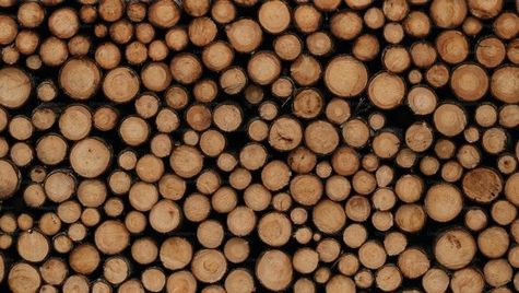 Unlock Profits in the Global Commodities Market