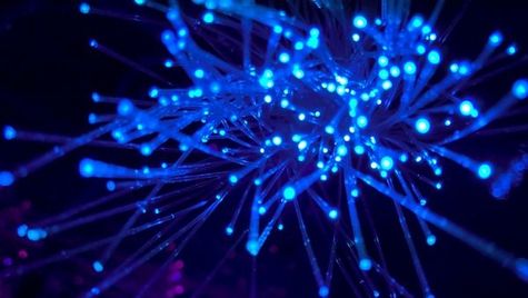 Unveiling the Future: How The Internet Holds The Key
