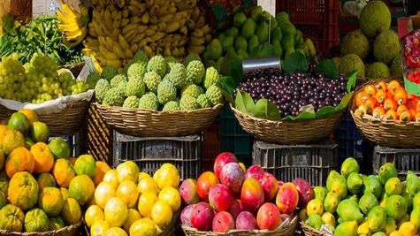 Coop Export Body NCEL Has Bagged Rs 7,000 Cr Orders So Far; To Share Profit With Member Farmers