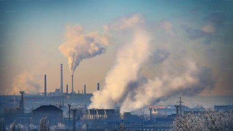Cost-Saving and Sustainable: Indian Companies Shift Towards Net-Zero