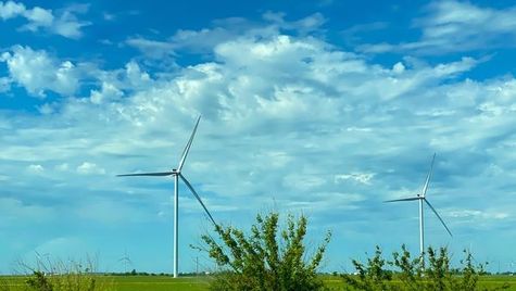 Unveiling the Roadmap to Business Sustainability: Achieving Net-Zero Emissions