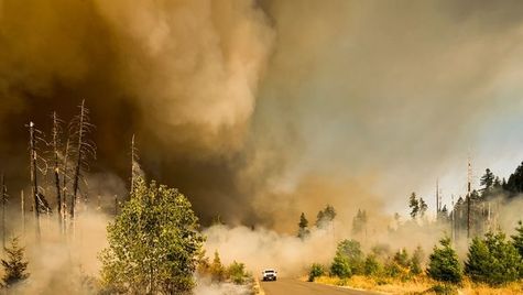 How Devastation Leads to Debt: The Economic Fallout of Natural Disasters