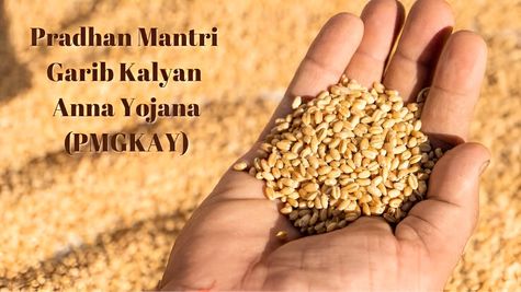 Indian Government Extends The PMGKA Yojana For The Next Five Years: Check Details & Eligibility
