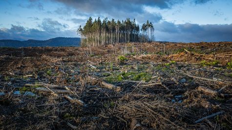 How Climate Change Is Shaking Up Financial Institutions