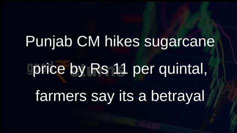 Punjab CM hikes sugarcane price by Rs 11 per quintal, farmers say its meagre