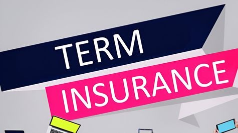 Self Employed People See 10% Spike In Term Insurance Policies; Details Inside