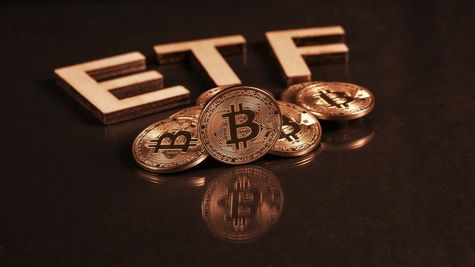 GR Exclusive: Spike Or Dip, How Bitcoin ETFs Impact Will Unfold On Bitcoin? WazirX's Rajagopal Menon Explains