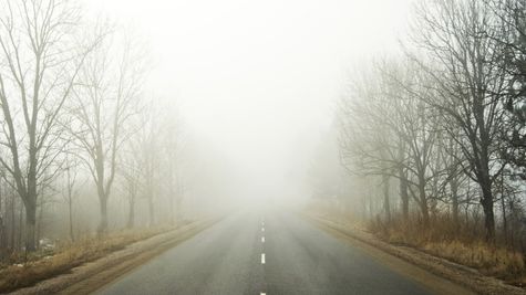 Delhi Fog: 26 Trains Run Late In National Capital Due To Poor Visibility