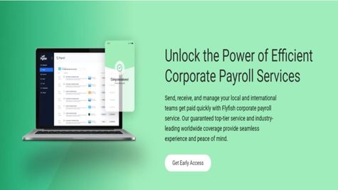 Flyfish Review –Discovering the Perfect Service Provider for Your Business Activities