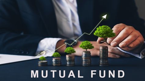 Unlocking Retirement Riches: Here's A List Of Top Midcap Multibagger Stocks Favored By Mutual Funds