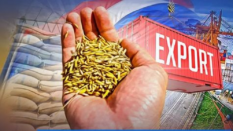 India Mulls Extending Export Tax on Parboiled Rice to Tackle Food Inflation Ahead of Elections