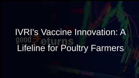 IVRIs Breakthrough: Vaccine to Curb Infectious Bursal Disease in Poultry