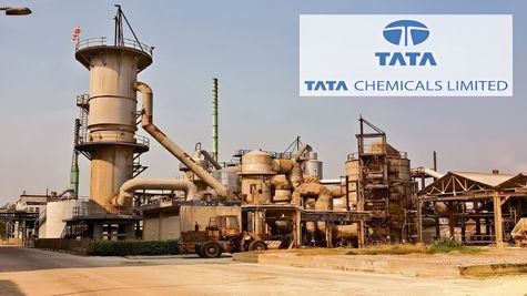 Tata Chemicals Q4 Results: Despite Net Loss Of Rs 841 Crore, Tata Co Announces Rs 15/Sh Dividend