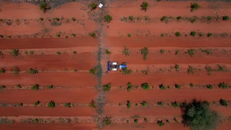 Hebbevu Farms Achieves Milestone Revenue of Rs. 30 Crore: Pioneering Sustainable Agriculture in Bangalore