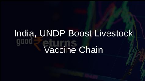 India Teams Up with UNDP to Enhance Livestock Vaccine Distribution