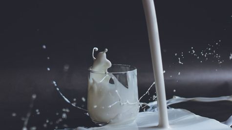 The Economics Of Milk: Price Hikes Hit India's Dairy Sector