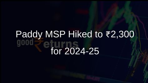 Govt Raises Paddy MSP by ₹117 to ₹2,300 per Quintal for 2024-25 Season