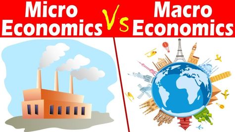 Microeconomics Vs Macroeconomics: Understanding Differences & Interdependence Of The Economic Areas