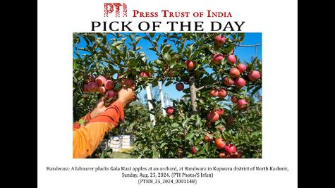 Apple Elevates Indian-Origin Kevan Parekh to CFO in Strategic Move