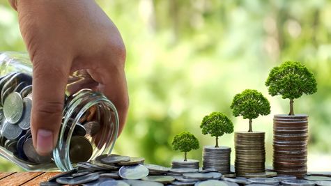 Maximizing Returns: A Comparative Guide To Best FD Interest Rates By Private & PSU Banks In 2024; Find Out!