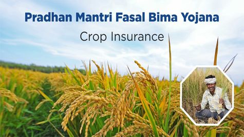 Farmers Pay Rs 32,440 Cr Premium Under PMFBY; Claims Over Rs 1.64 Lakh Cr Cleared