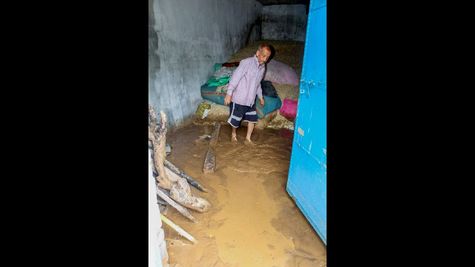 India Abolishes Minimum Export Price on Basmati Rice to Aid Farmers