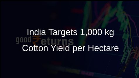 India Aims for 1,000 kg Cotton Yield per Hectare in 11 States Following Akola Model