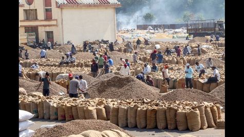 Centre Calls on Northern States to Accelerate Implementation of Central Agricultural Schemes