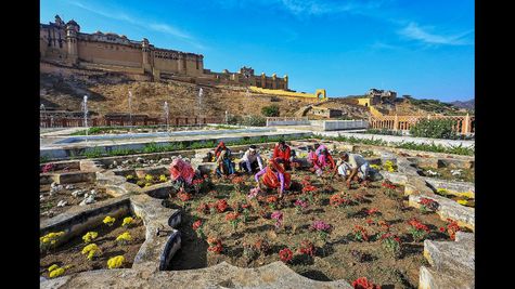 Prime Minister Narendra Modi to Launch Rajasthan Global Investment Summit 2024 with Key Business Leaders