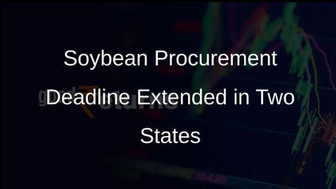 Centre Extends Soybean Procurement Deadline in Maharashtra to January 31 and Rajasthan to February 4