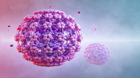 HMPV Outbreak Worsens Around The World, State Govts Issue Advisory; Find Symptoms, Treatment & More