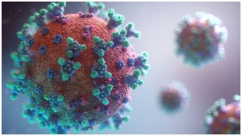 HMPV Update: After Karnataka, Maharashtra Issues Advisory On Rising Human Metapneumovirus Cases