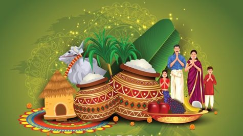 Makar Sankranti 2025 Celebrations In India: Know The Rituals & Significance; Is It A Bank Holiday?