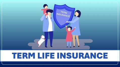 Term Insurance Purchases Surge Among High-Salaried Individuals In Metro Areas: Policybazaar