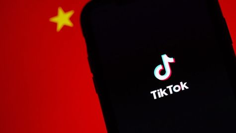 Trump's Proposal: Elon Musk And Larry Ellison May Acquire TikTok 