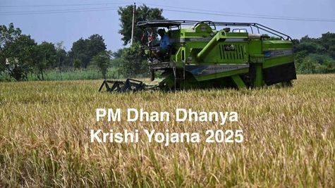  Union Budget 2025-26 : Details About PM Dhan Dhanya Krishi Yojana
