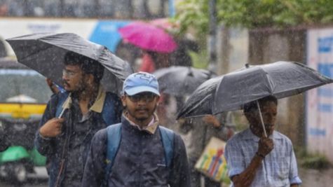 Karnataka Weather Alert: IMD Predicts Rain in Several Districts, Check Details For Bangalore Weather Today