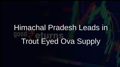 Himachal Pradesh Emerges as Leading Supplier of Rainbow Trout-Eyed Ova to Other Hill States