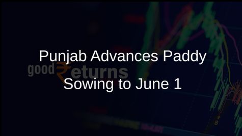 Punjab Government Advances Paddy Sowing Date to June 1 for Improved Farmer Support