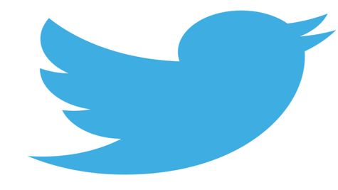 Twitter's Iconic Blue Bird Logo Sells at Auction for a Jaw-Dropping Price- Check Price It Sold For