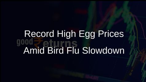 Egg Prices Reach Record High of USD 6.23 Per Dozen Despite Slowing Bird Flu Outbreaks