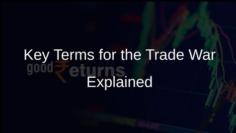 Understanding Dead Cat Bounce and Five Essential Terms for the Trade War