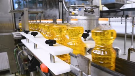 Government Slashes Edible Oil Import Duty by 10% to Curb Prices & Inflation
