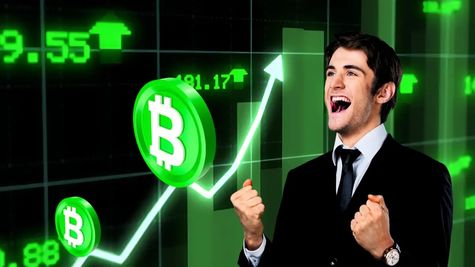 Crypto Bulls: Bitcoin Crosses $104,200; Pi Coin Jumps 83% From Record Low; Why Cryptocurrencies Are Rallying?